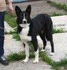 Молодой красавец Байкал ждёт своих людей