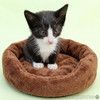 Ищем дом для космических котят