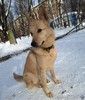 Мила, самое милое и потрясающее создание!
