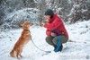 Ищем дом невероятному коротколапому Лёлику.