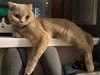 Нежная скромница ищет свое счастье!