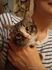 Котенок Кася ищет дом!