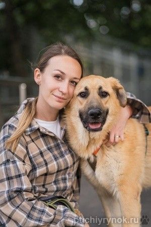 Очаровательный, солнечный Коржик мечтает встретить своего человека!
