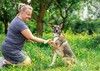 Молодой небольшой пёсик Малой в добрые руки