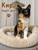Трогательные и нежные котята Мурочка и Кира в добрые руки