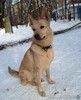 Мила, самое милое и потрясающее создание!