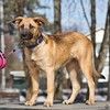 Куба очень ждёт свою семью