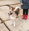 Супер позитивная девчонка Зира ищет своего ЧЕЛОВЕКА