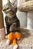 Серый котенок малыш Гномик ищет дом