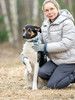 Круз, пёс, который умеет обнимать сердцем 