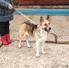 Супер позитивная девчонка Зира ищет своего ЧЕЛОВЕКА
