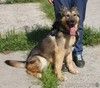 Дружелюбный, доверчивый Тимоша в поисках своей семьи и дома