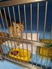 Дитя Солнца заперт в тесной клетке