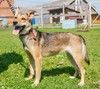 Ласковая, добрая девочка  Нюша очень ждет своего родного ЧЕЛОВЕКА.